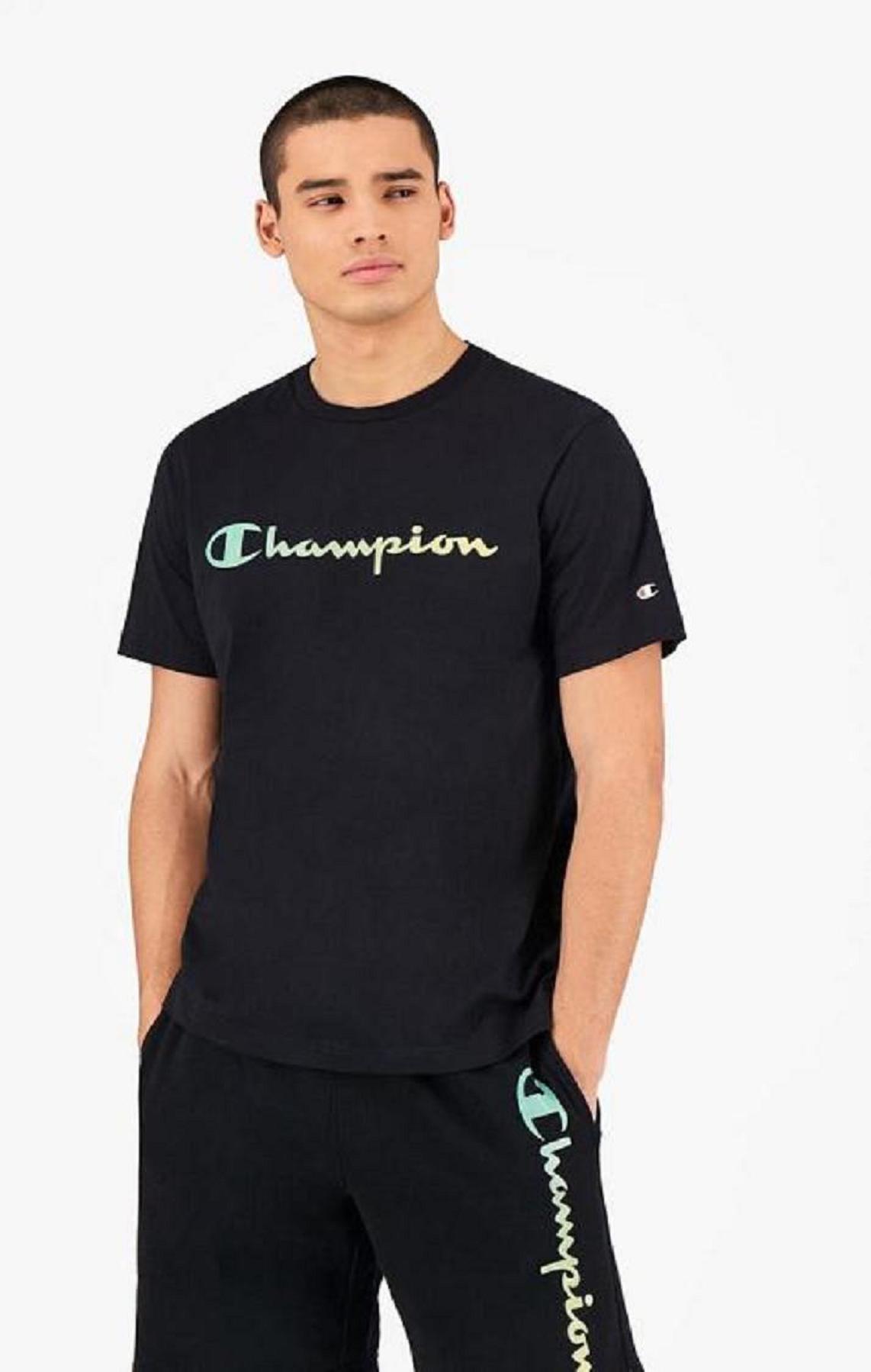 Champion Rainbow Script Logo T-Shirt Miesten T Paidat Mustat | 3921-IQZXK